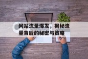网站流量爆发,揭秘流量背后的秘密与策略 网站流量爆发,揭秘流量背后的秘密与策略