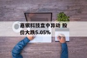 嘉银科技盘中异动 股价大跌5.05% 嘉银科技盘中异动 股价大跌5.05%