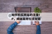 如何购买网站的流量IP,揭秘高效引流秘籍 如何购买网站的流量IP,揭秘高效引流秘籍