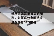 揭秘网站流量背后的秘密,如何高效查网站流量及提升SEO排名 揭秘网站流量背后的秘密,如何高效查网站流量及提升SEO排名