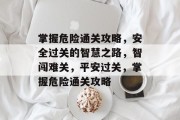 掌握危险通关攻略,安全过关的智慧之路,智闯难关,平安过关,掌握危险通关攻略