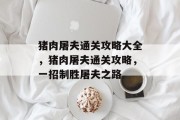 猪肉屠夫通关攻略大全,猪肉屠夫通关攻略,一招制胜屠夫之路