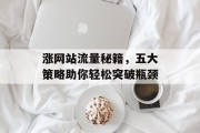 涨网站流量秘籍,五大策略助你轻松突破瓶颈 涨网站流量秘籍,五大策略助你轻松突破瓶颈
