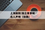 上海新阳:独立董事候选人声明（徐鼎）