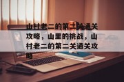 山村老二的第二关通关攻略,山里的挑战,山村老二的第二关通关攻略