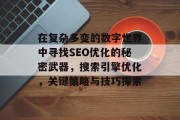 在复杂多变的数字世界中寻找SEO优化的秘密武器,搜索引擎优化,关键策略与技巧探索 在复杂多变的数字世界中寻找SEO优化的秘密武器,搜索引擎优化,关键策略与技巧探索