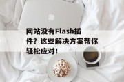 网站没有Flash插件？这些解决方案帮你轻松应对！