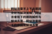 网站流量不上不去原因分析与解决策略，网站流量低下的原因解析与解决方案，网站流量低下的原因及解决方案