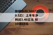 新媒股份(300770.SZ)：上半年净利润3.46亿元 拟10派10元