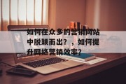 如何在众多的营销网站中脱颖而出?,如何提升网络营销效率? 如何在众多的营销网站中脱颖而出?,如何提升网络营销效率?