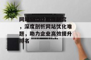 网站SEO诊断性刮宫，深度剖析网站优化难题，助力企业高效提升排名