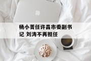 杨小菁任许昌市委副书记 刘涛不再担任 杨小菁任许昌市委副书记 刘涛不再担任