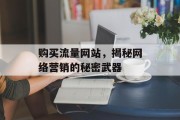 购买流量网站,揭秘网络营销的秘密武器 购买流量网站,揭秘网络营销的秘密武器