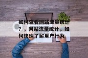 如何查看网站流量统计?,网站流量统计,如何快速了解用户行为 如何查看网站流量统计?,网站流量统计,如何快速了解用户行为
