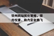 钦州网站优化策略,提升权重,助力企业腾飞 钦州网站优化策略,提升权重,助力企业腾飞