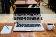 检测你的网站SEO,如何提升您的网站 SEO? 检测你的网站SEO,如何提升您的网站 SEO?