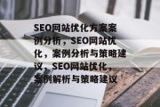 SEO网站优化方案案例分析，SEO网站优化，案例分析与策略建议，SEO网站优化，案例解析与策略建议