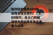 如何轻松提升SEO网站排名优化技巧!,SEO技巧,从入门到精通提升网站排名优化速度与效率