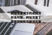 网站流量减少的成因分析及对策,网站流量下降原因解析与解决方案 网站流量减少的成因分析及对策,网站流量下降原因解析与解决方案