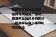 如何利用SUN站点流量提升网站用户体验,提高网站访问量的途径,提升网站用户体验的有效途径 如何利用SUN站点流量提升网站用户体验,提高网站访问量的途径,提升网站用户体验的有效途径