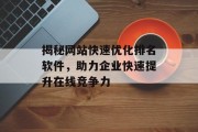 揭秘网站快速优化排名软件,助力企业快速提升在线竞争力 揭秘网站快速优化排名软件,助力企业快速提升在线竞争力