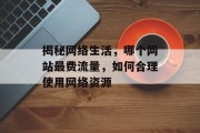 揭秘网络生活，哪个网站最费流量，如何合理使用网络资源