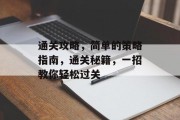 通关攻略,简单的策略指南,通关秘籍,一招教你轻松过关 通关攻略,简单的策略指南,通关秘籍,一招教你轻松过关