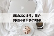 网站SEO插件，提升网站排名的得力助手