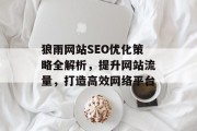 狼雨网站SEO优化策略全解析,提升网站流量,打造高效网络平台 狼雨网站SEO优化策略全解析,提升网站流量,打造高效网络平台