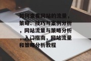 如何查看网站的流量，策略、技巧与案例分析，网站流量与策略分析，入门指南，网站流量和策略分析教程