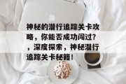 神秘的潜行追踪关卡攻略,你能否成功闯过?,深度探索,神秘潜行追踪关卡秘籍! 神秘的潜行追踪关卡攻略,你能否成功闯过?,深度探索,神秘潜行追踪关卡秘籍!