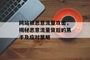 网站被恶意流量攻击,揭秘恶意流量背后的黑手及应对策略 网站被恶意流量攻击,揭秘恶意流量背后的黑手及应对策略