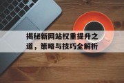 揭秘新网站权重提升之道,策略与技巧全解析 揭秘新网站权重提升之道,策略与技巧全解析