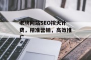 老牌网站SEO按天计费，精准营销，高效推广
