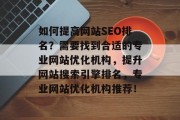 如何提高网站SEO排名？需要找到合适的专业网站优化机构，提升网站搜索引擎排名，专业网站优化机构推荐！