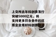上交所去年科创债发行突破5000亿元,将支持更多符合条件的优质企业用好科创债融资 上交所去年科创债发行突破5000亿元,将支持更多符合条件的优质企业用好科创债融资