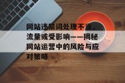 网站违禁词处理不当,流量或受影响——揭秘网站运营中的风险与应对策略 网站违禁词处理不当,流量或受影响——揭秘网站运营中的风险与应对策略