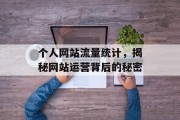 个人网站流量统计,揭秘网站运营背后的秘密 个人网站流量统计,揭秘网站运营背后的秘密