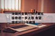 法国兴业银行预计美元指数进一步上涨 有望接近2022年峰值 法国兴业银行预计美元指数进一步上涨 有望接近2022年峰值