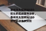 泰州市大型网站SEO优化的实战案例分析，泰州市大型网站SEO优化实战案例分析