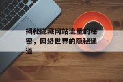 揭秘隐藏网站流量的秘密,网络世界的隐秘通道 揭秘隐藏网站流量的秘密,网络世界的隐秘通道