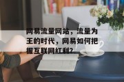 网易流量网站,流量为王的时代,网易如何把握互联网红利? 网易流量网站,流量为王的时代,网易如何把握互联网红利?