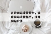 谷歌网站流量分析,洞察网站流量秘密,提升网站价值 谷歌网站流量分析,洞察网站流量秘密,提升网站价值