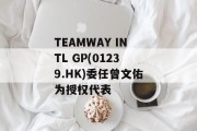 TEAMWAY INTL GP(01239.HK)委任曾文佑为授权代表