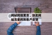 揭秘网络黑市,倒卖网站流量的灰色产业链 揭秘网络黑市,倒卖网站流量的灰色产业链