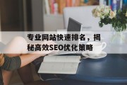 专业网站快速排名，揭秘高效SEO优化策略