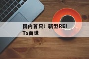 国内首只！新型REITs面世