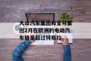 大众汽车集团和宝马集团2月在欧洲的电动汽车销量超过特斯拉 大众汽车集团和宝马集团2月在欧洲的电动汽车销量超过特斯拉