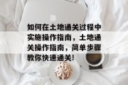 如何在土地通关过程中实施操作指南,土地通关操作指南,简单步骤教你快速通关! 如何在土地通关过程中实施操作指南,土地通关操作指南,简单步骤教你快速通关!