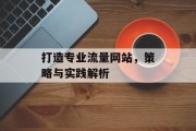 打造专业流量网站,策略与实践解析 打造专业流量网站,策略与实践解析